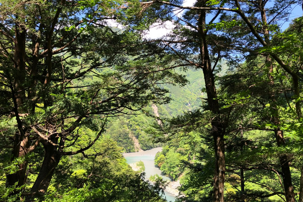 寸又峡