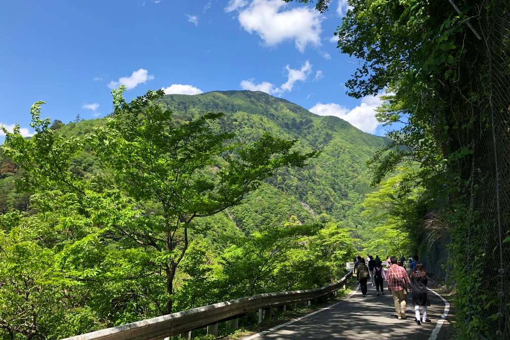 寸又峡