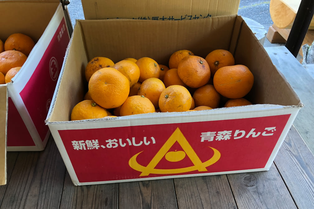 寸又峡