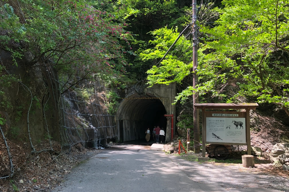 寸又峡